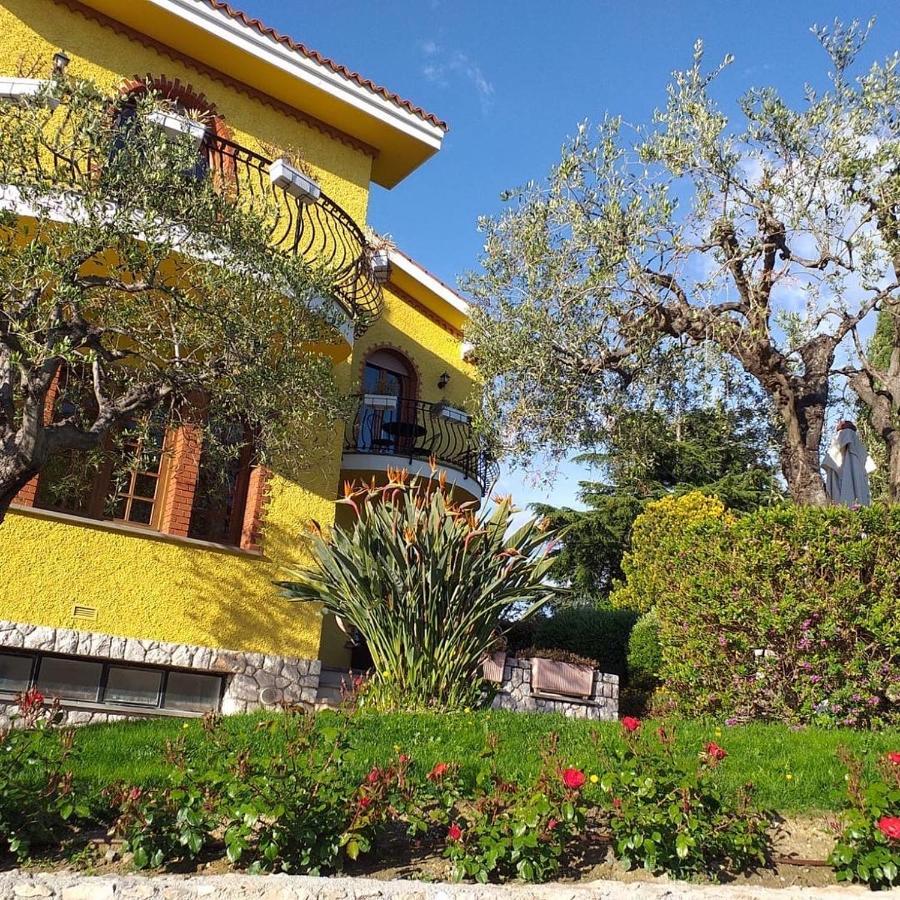 Villa Gaia - Luxury Villa, Pool & Wellness Rooms Bordighera Eksteriør billede