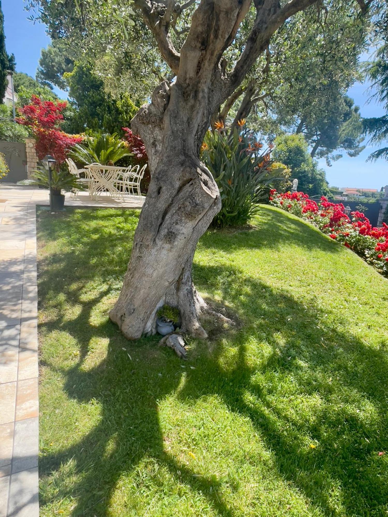 Villa Gaia - Luxury Villa, Pool & Wellness Rooms Bordighera Eksteriør billede